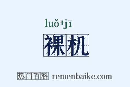 裸机是什么意思的图片